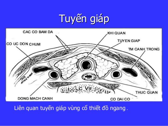 Siêu âm tuyến giáp tại TP.Vinh - Nghệ An
