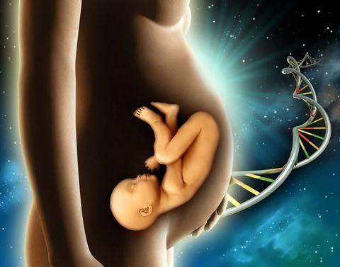 Xét nghiệm sàng lọc  trước sinh dị tật thai nhi không xâm lấn - NIPT