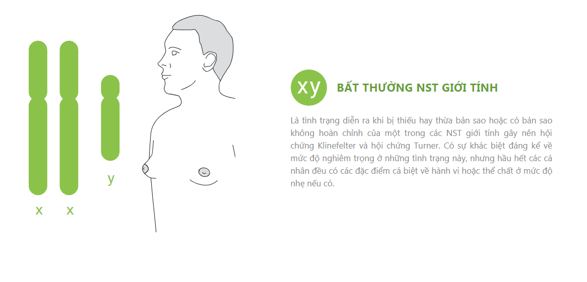 xét nghiệm sàng lọc trước sinh NIPT