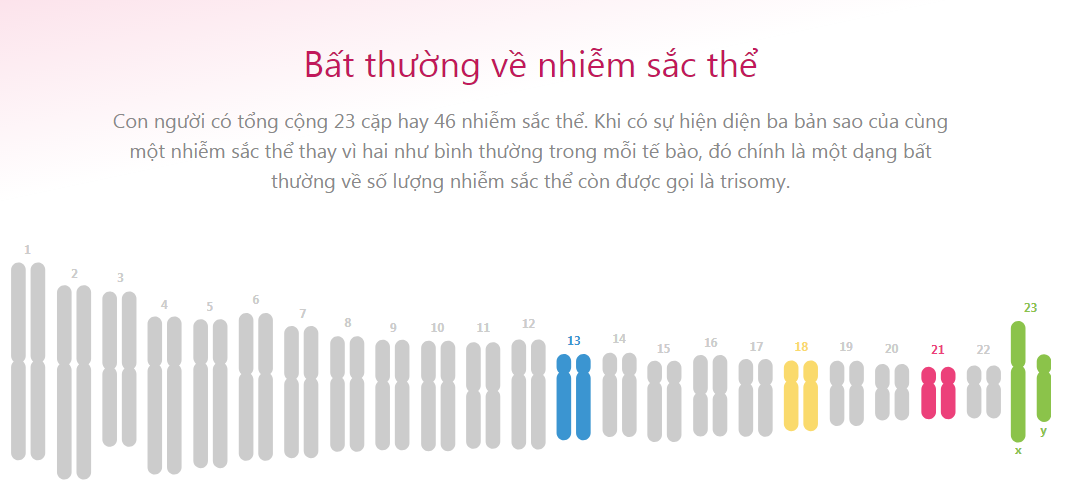 xét nghiệm sàng lọc trước sinh NIPT