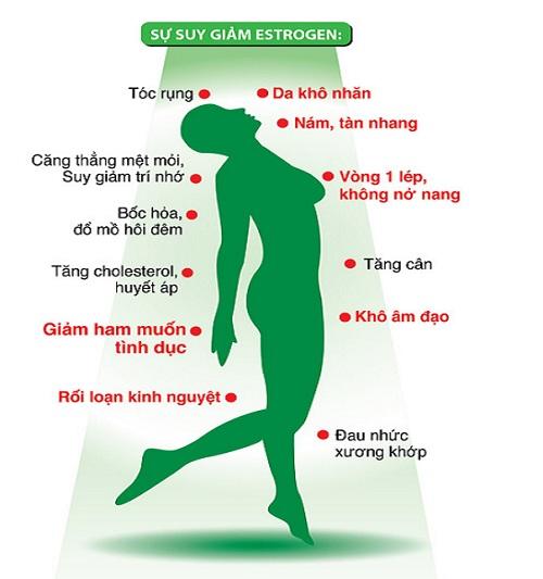 Sử dụng estrogen