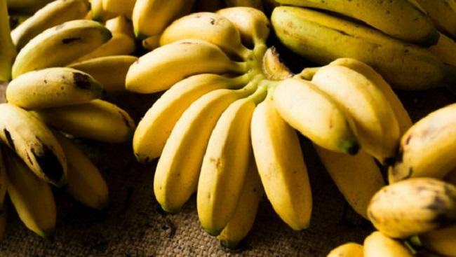 11 quả ngon vào mùa thu, mẹ ăn nhiều có lợi cho thai nhi