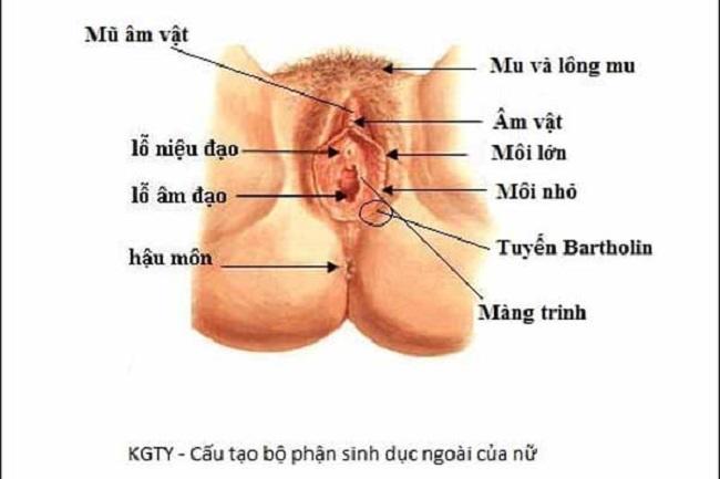 sản phụ khoa anh sinh