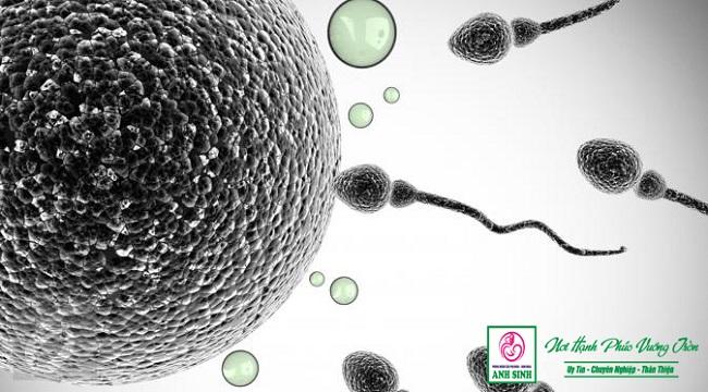 phòng khám anh sinh