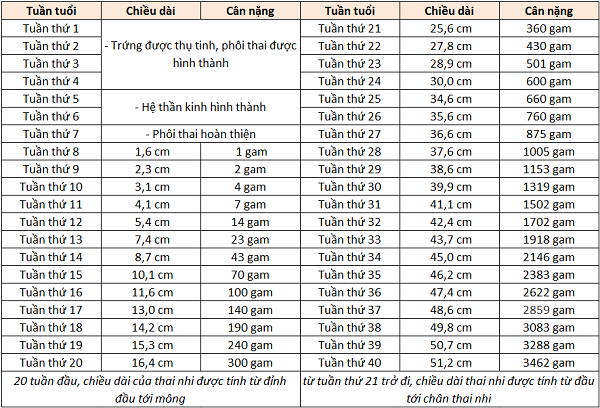Cân nặng thai nhi