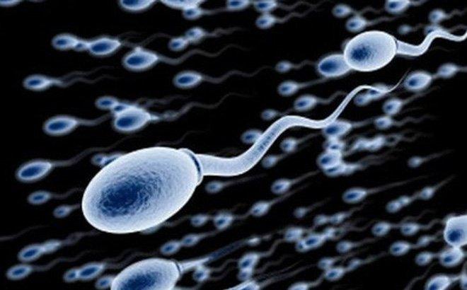 điều trị vô sinh nam tại Vinh